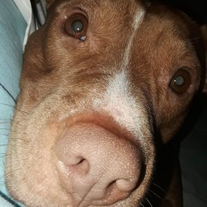 Meet your Posher, Gena